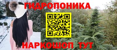 тгк Камышлов