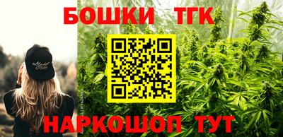 тгк Камышлов