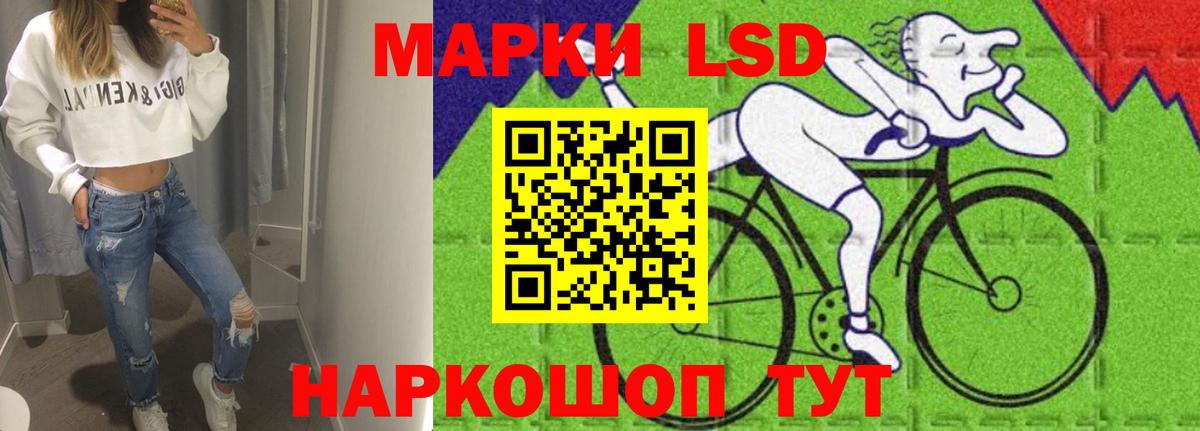 Бошки Шишки Вольск