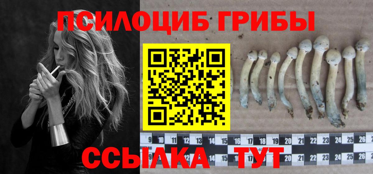 Псилоцибиновые грибы мицелий  Вход с VPN  Псилоцибиновые грибы MAGIC MUSHROOMS  Вольск 